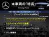 MERCEDES BENZ OTHER