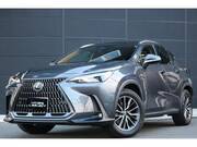 2024 LEXUS NX