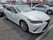 2019 LEXUS ES