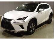 2019 LEXUS NX