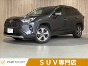 2019 TOYOTA RAV4 G