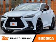 2022 LEXUS NX