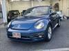 VOLKSWAGEN THE BEETLE