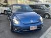 VOLKSWAGEN THE BEETLE