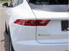 JAGUAR OTHER