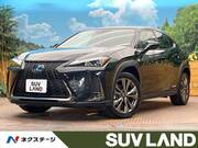 2020 LEXUS UX