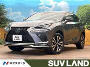 2019 LEXUS NX