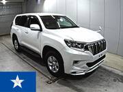 2021 TOYOTA LAND CRUISER PRADO TX
