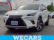 2019 LEXUS NX
