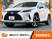 2019 LEXUS RX