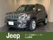 2019 CHRYSLER JEEP RENEGADE