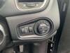 CHRYSLER JEEP RENEGADE