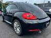 VOLKSWAGEN THE BEETLE