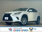 2019 LEXUS NX