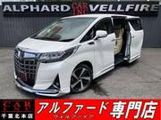 2019 TOYOTA ALPHARD