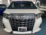 2018 TOYOTA ALPHARD G