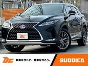 2021 LEXUS RX