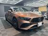 MERCEDES BENZ OTHER