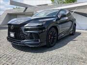 2024 LEXUS RX