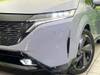 NISSAN OTHER
