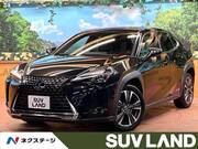 2019 LEXUS UX