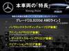 MERCEDES BENZ OTHER