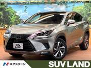 2020 LEXUS NX