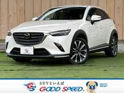 2019 MAZDA CX-3