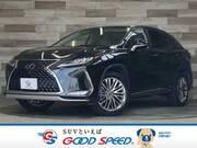 2019 LEXUS RX