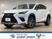2019 LEXUS NX