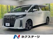 2019 TOYOTA ALPHARD