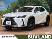 2019 LEXUS UX