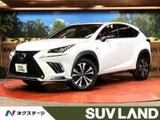2019 LEXUS NX