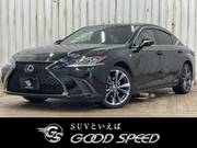 2019 LEXUS ES
