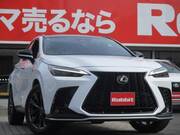2022 LEXUS NX