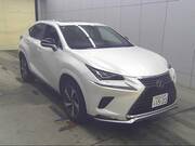 2020 LEXUS NX