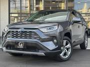 2019 OTHER OTHER (Left Hand Drive)