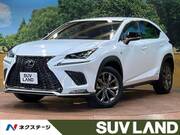 2019 LEXUS NX