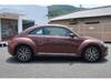 VOLKSWAGEN THE BEETLE