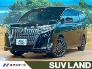 2019 TOYOTA ESQUIRE Gi