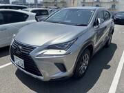 2020 LEXUS NX