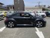 VOLKSWAGEN THE BEETLE