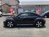 VOLKSWAGEN THE BEETLE