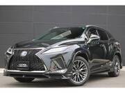 2019 LEXUS RX
