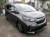 HONDA OTHER