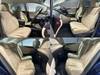 LEXUS HS