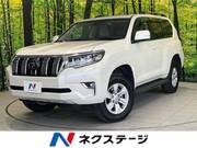 2023 TOYOTA LAND CRUISER PRADO