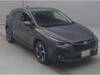 SUBARU OTHER