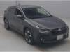 SUBARU OTHER