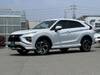 MITSUBISHI OTHER